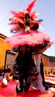 Rio Caribe Carnaval