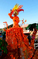 Rio Caribe Carnaval