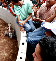 APURE YARUROS