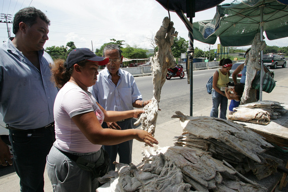 Vendedores de pescado salado de rio y Chiguire,Barinas