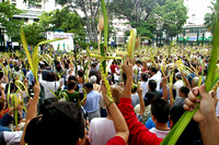 Bendicion Palmas Chacao
