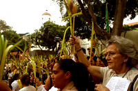 Bendicion Palmas Chacao