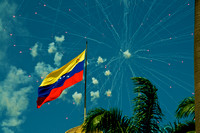 VENEZUELA FLAG