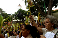 Bendicion Palmas Chacao