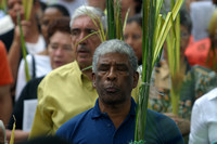 Bendicion Palmas Chacao