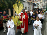 Palmeros -Chacao