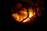 AVILA INCENDIO: Caracas,21/03/10 
Un incendio forestal en el Parque Nacional El Avila ,a la altura de Los Chorros,en el estribo Duarte ,ha consumido desde las cinco de la tarde de este domingo,hasta